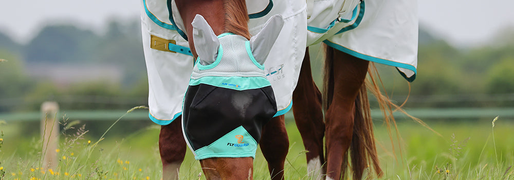 The Best Fly Mask For Horses