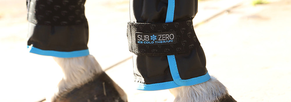 ARMA SubZero Horse Ice Boots Review