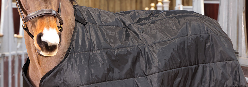 Guide To Using A Horse Rug Liner