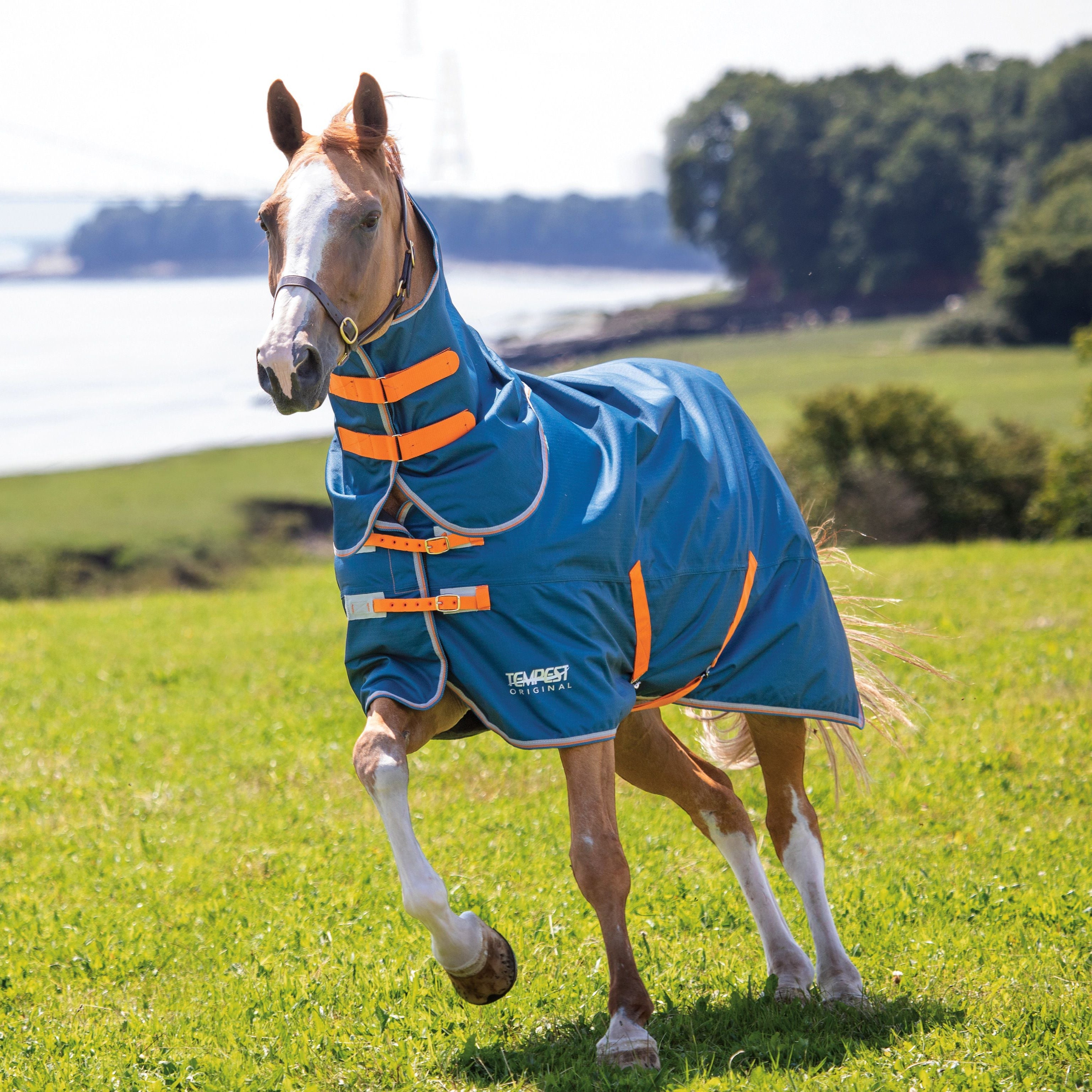 Tempest Original 100 Turnout Rug & Neck Navy