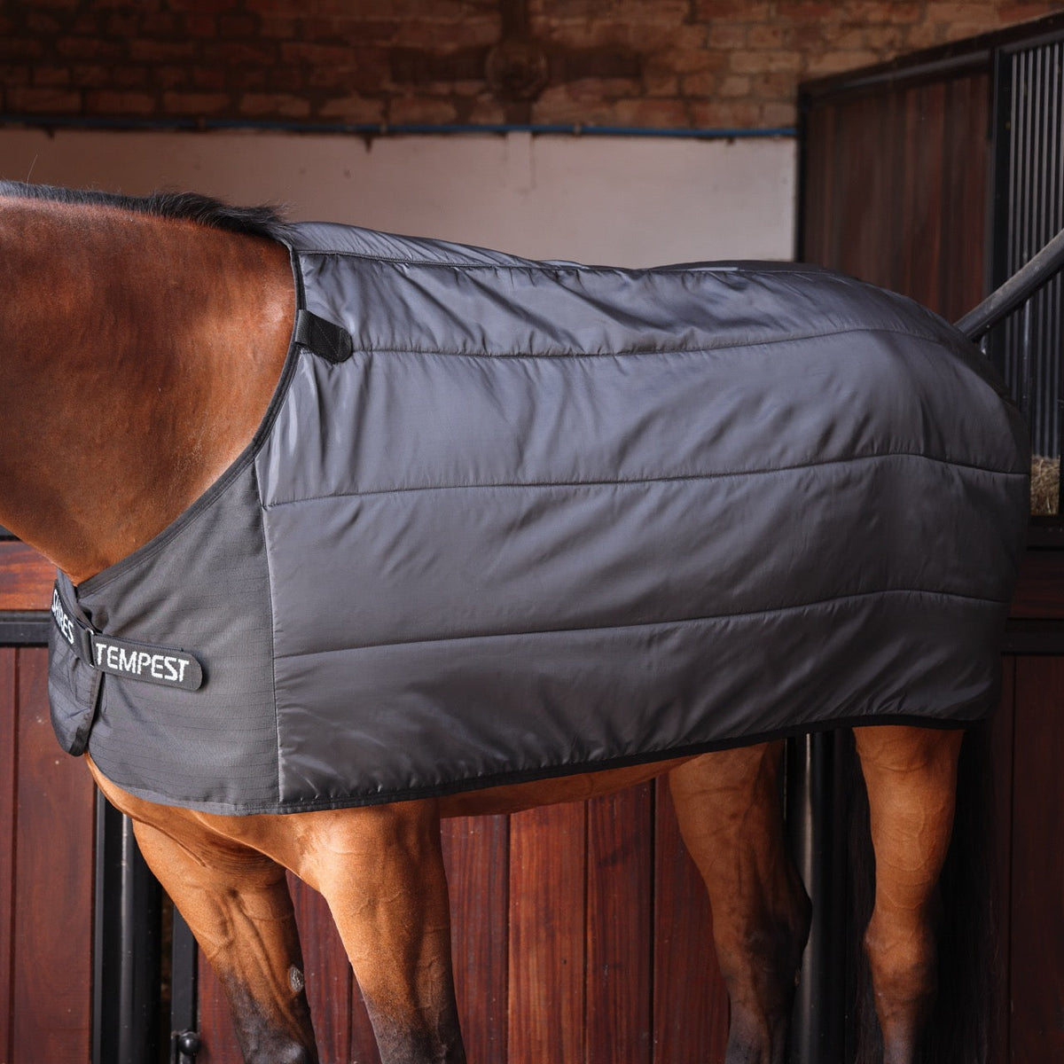 Guide To Using A Horse Rug Liner