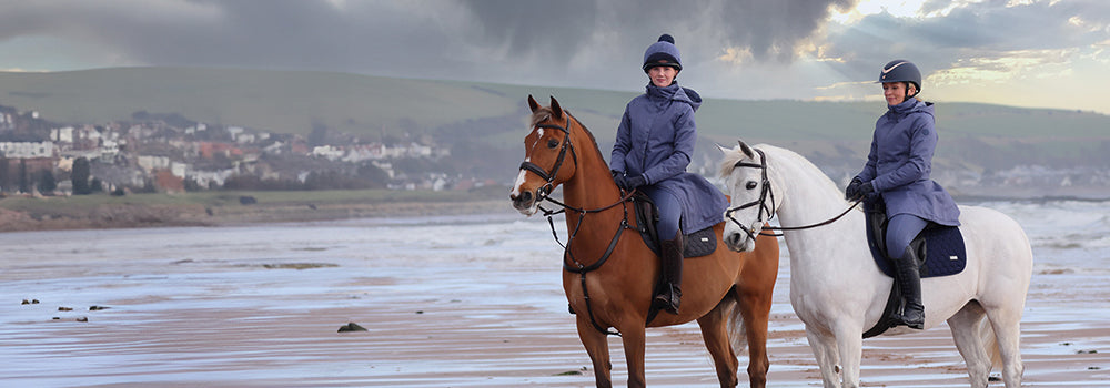 Autumn starts with Aubrion