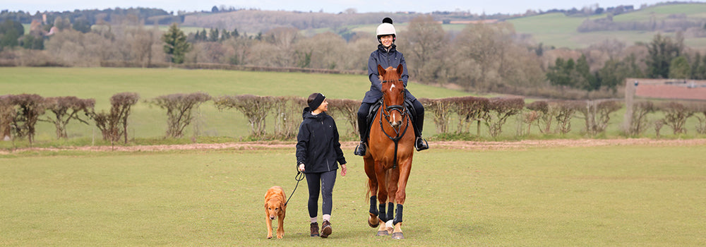 New Aubrion React for Autumn Winter 2025