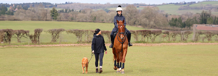 New Aubrion React for Autumn Winter 2025