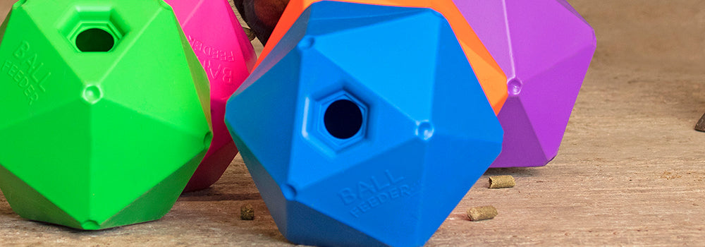 Enrichment For Horses