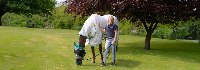 New Aubrion React for Autumn Winter 2025