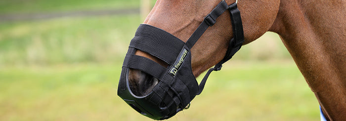 How To Use A Grazing Muzzle