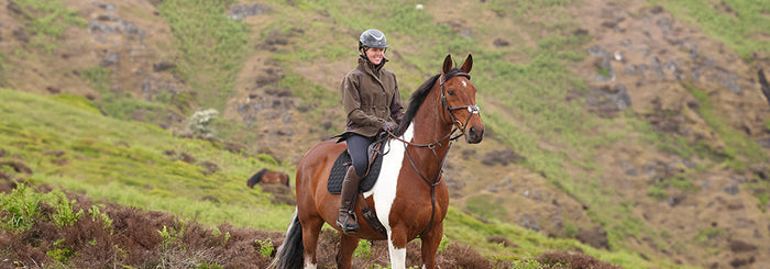 The Aubrion Heritage Style Guide 