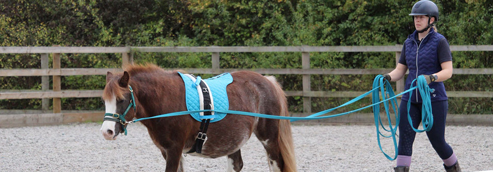 Long Reining a Horse with HorseWorld