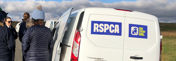 Five Ways to Manage Winter Horse Health Care with HorseWorld