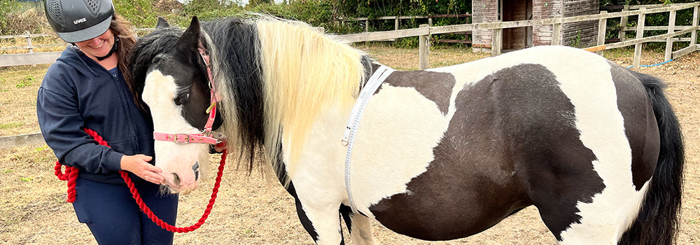 Horse Track Systems Explained with HorseWorld