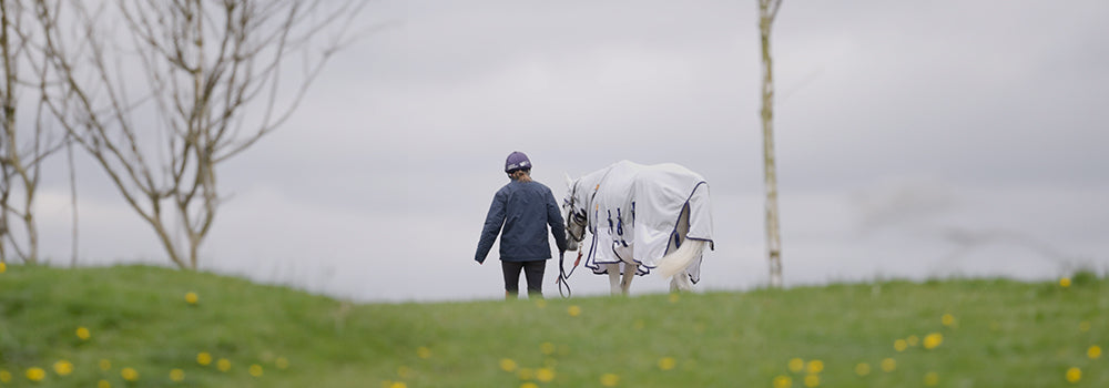 Piggy March's Shires Fly Rug Review 