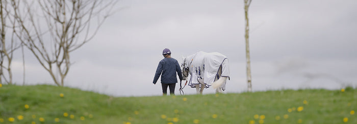 Piggy March's Shires Fly Rug Review 