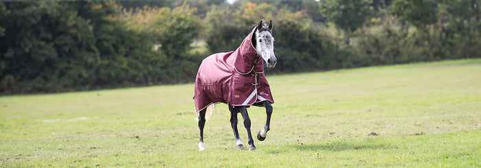 How To Measure A Horse For A Turnout Rug