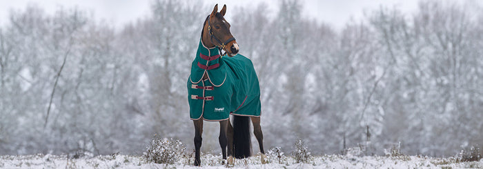 How To Fill Your Winter with Wellness