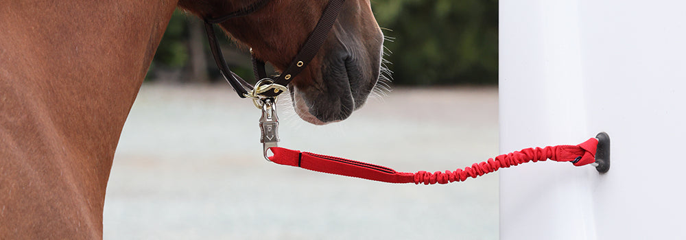 The Best Trailer Ties for Horses