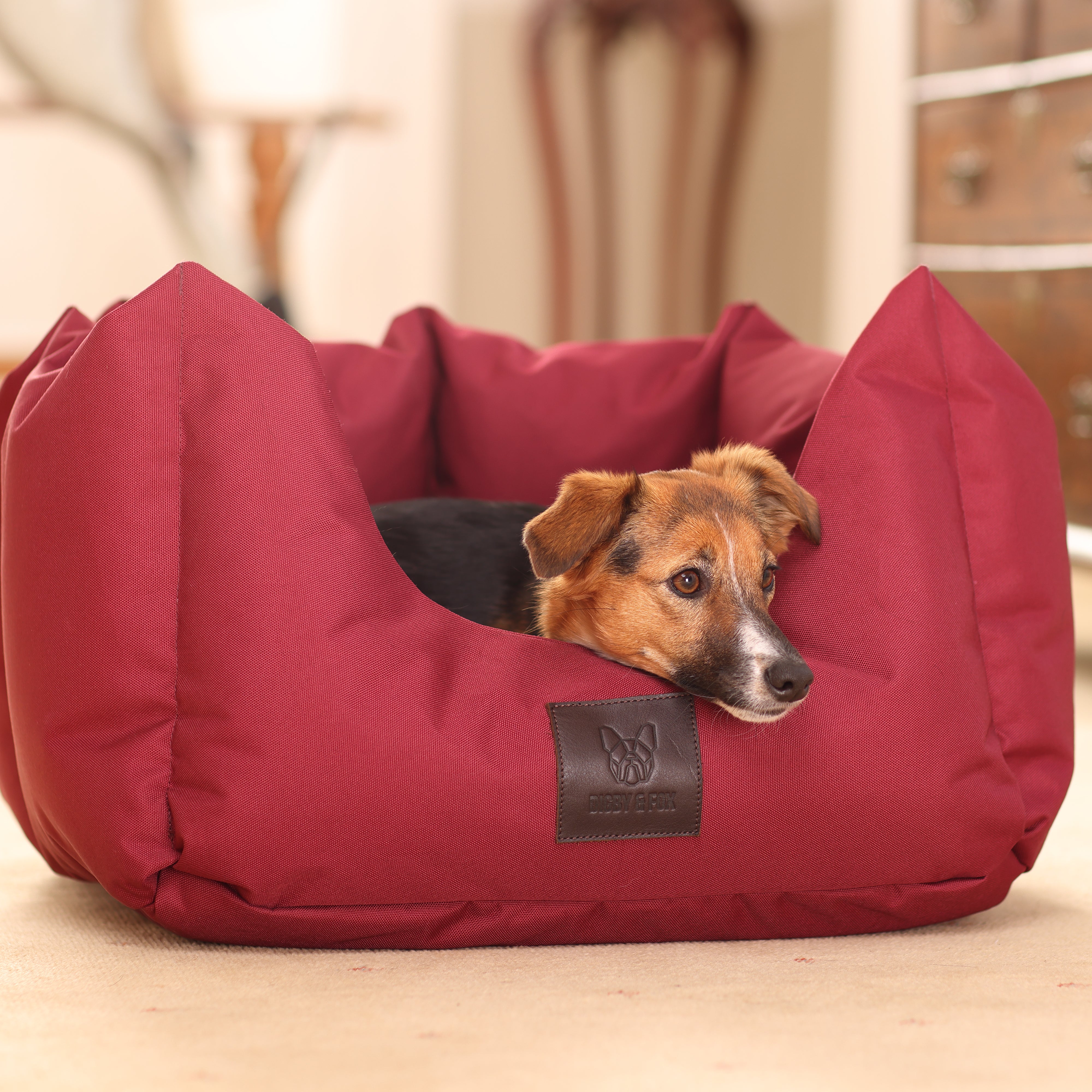 Digby & Fox Nest Dog Bed