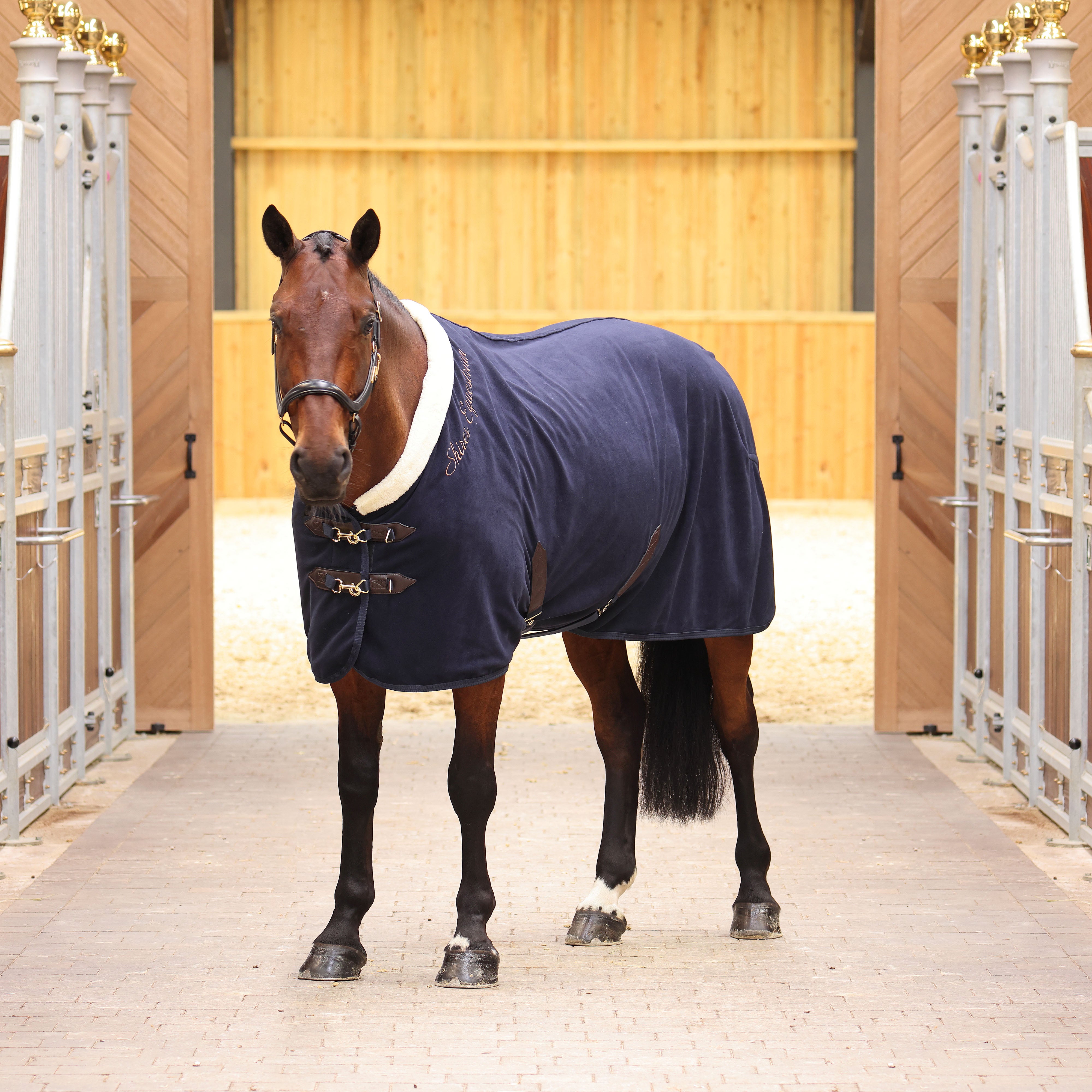 Bing Show Rug Show Rugs