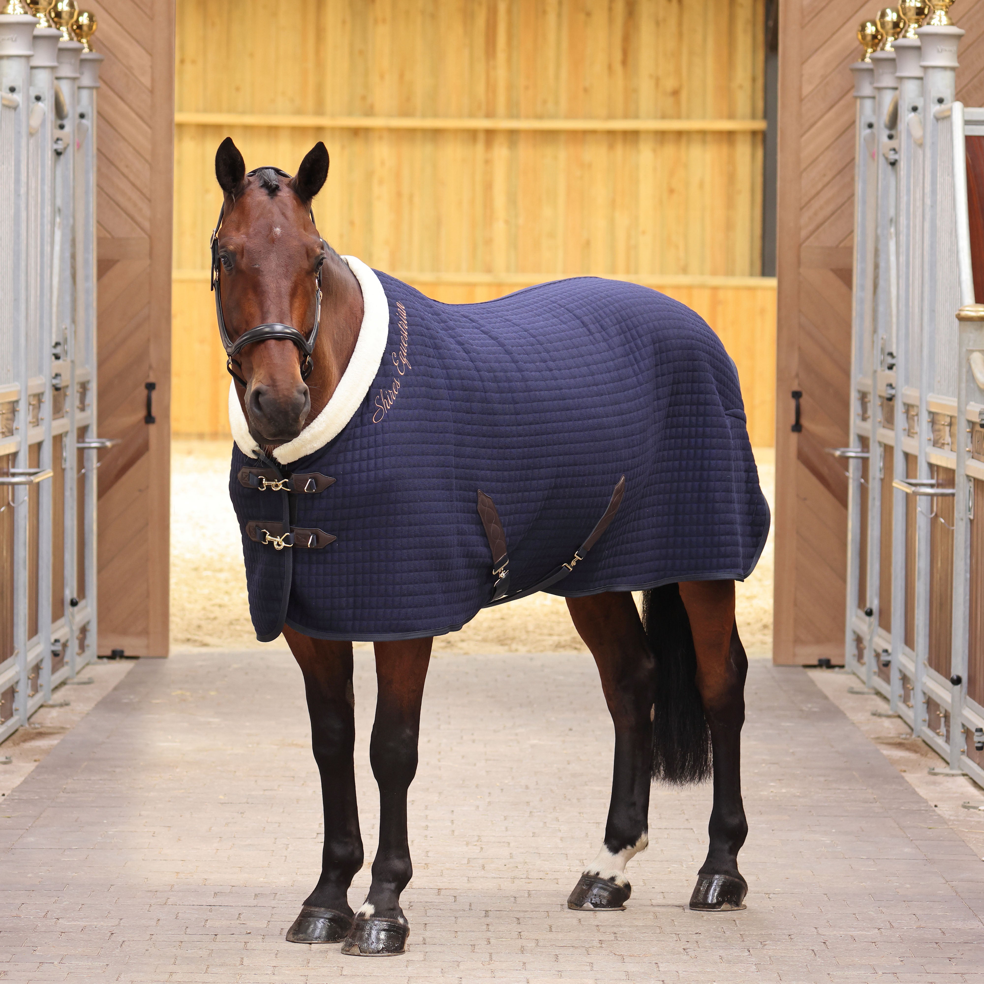 Shires Deluxe Tech Cooler Rug