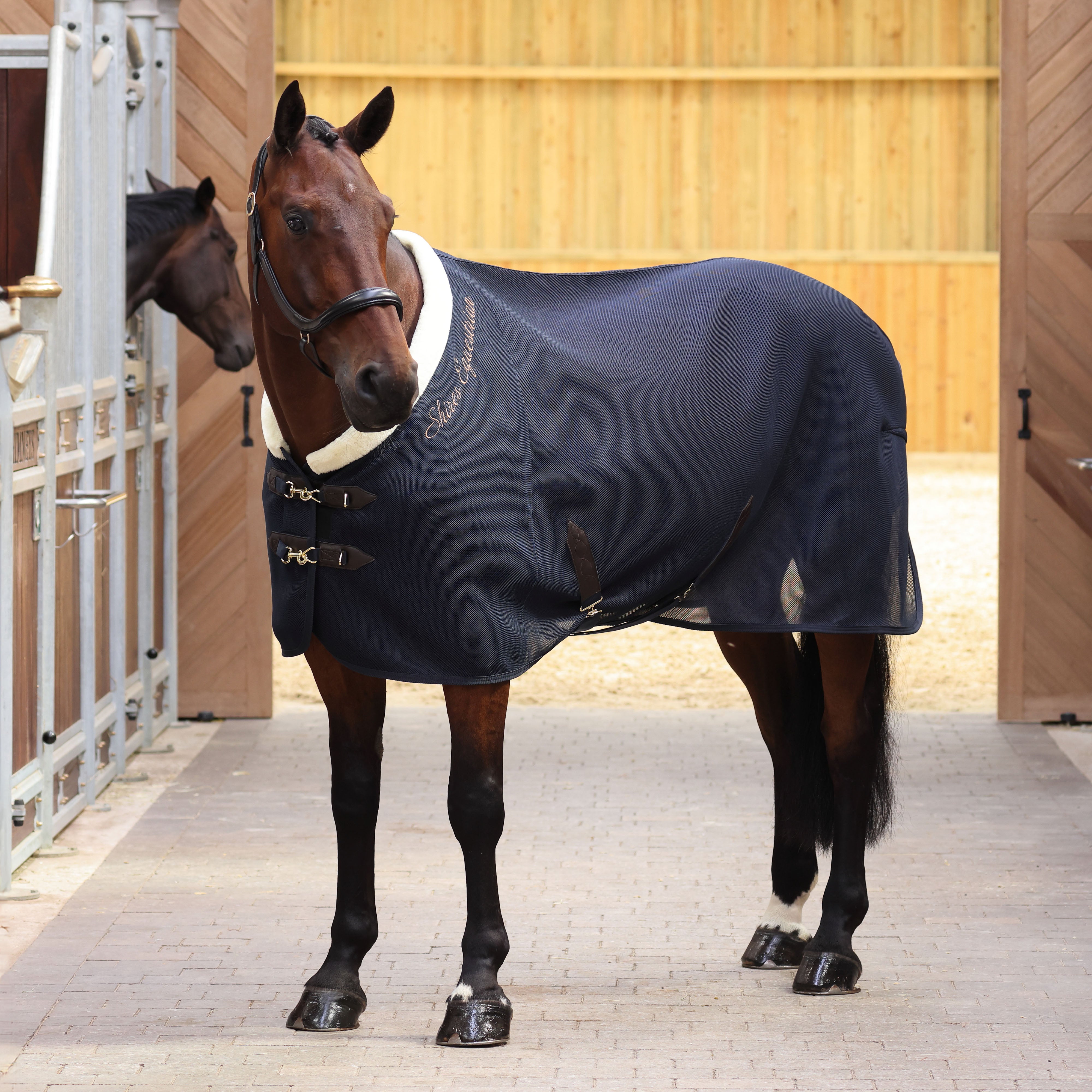 Shires Deluxe Air Motion Cooler