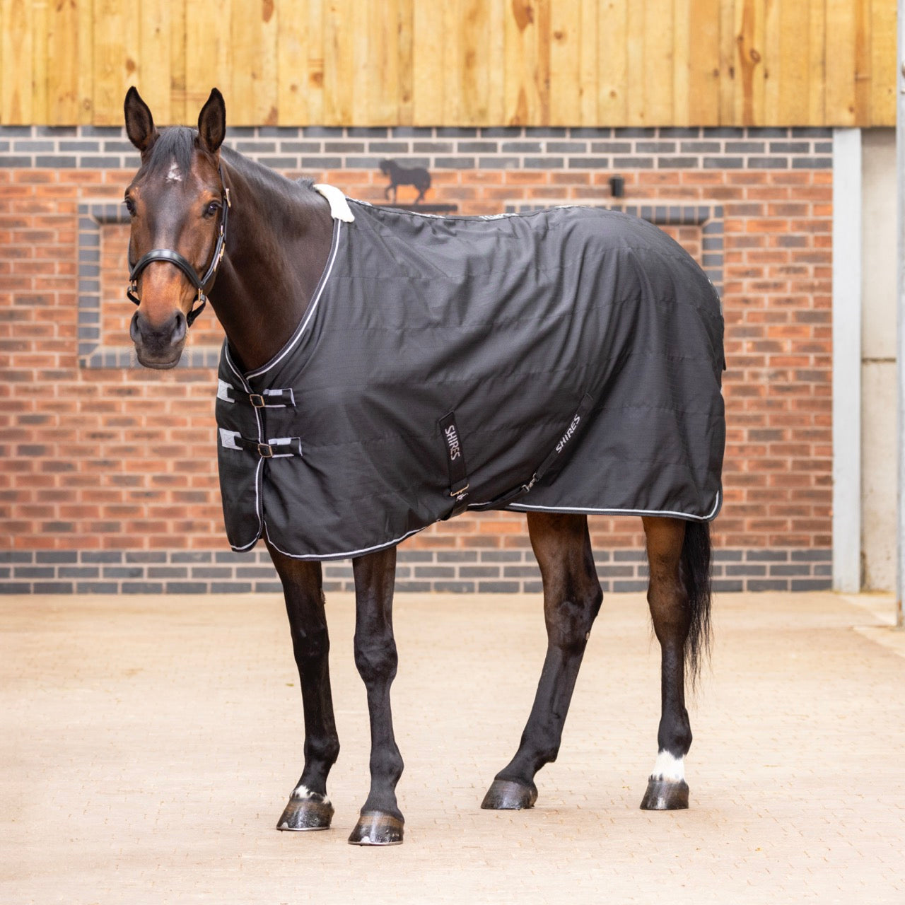 Tempest Original Lite Stable Rug