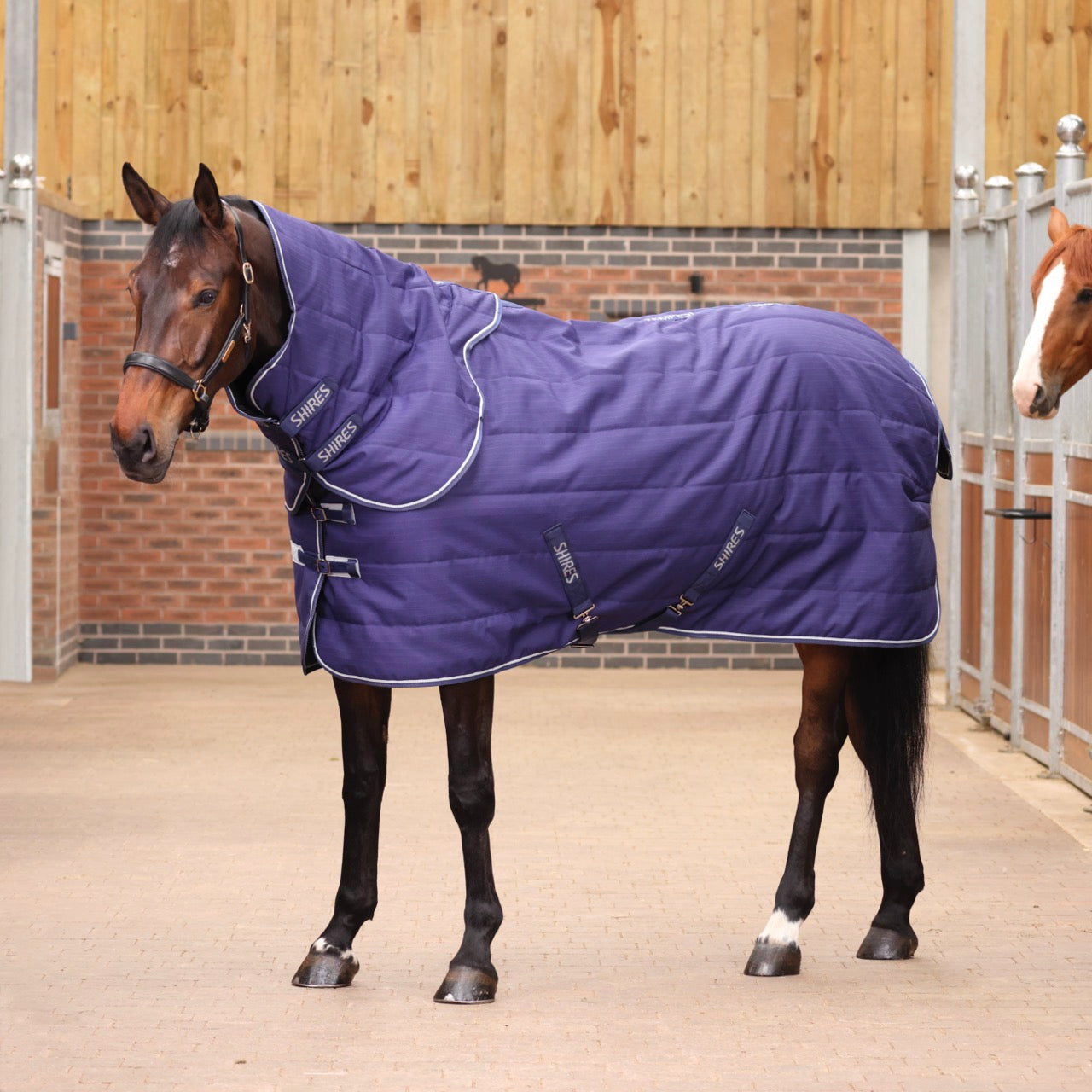 Stable Rugs