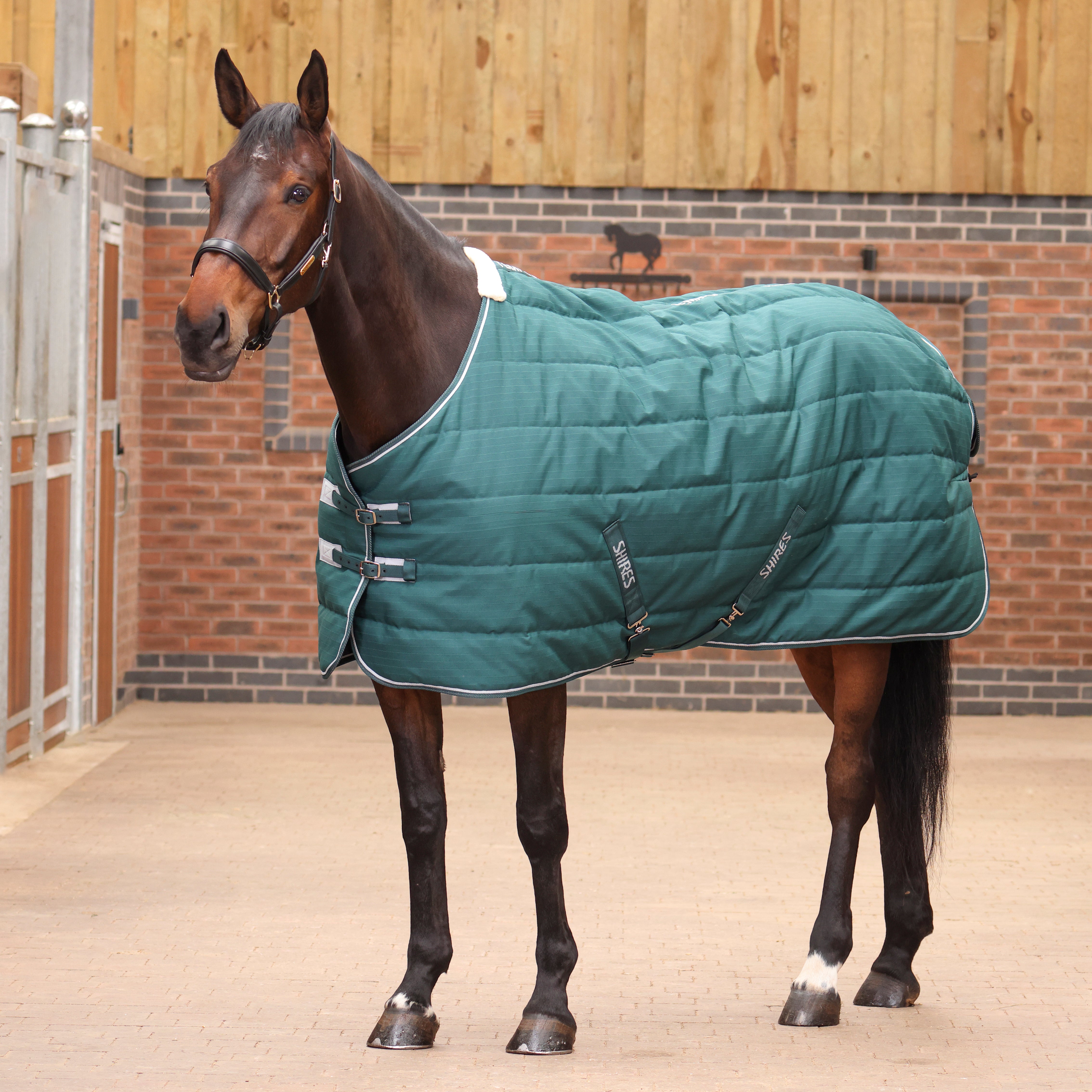 Tempest Original 200 Stable Rug