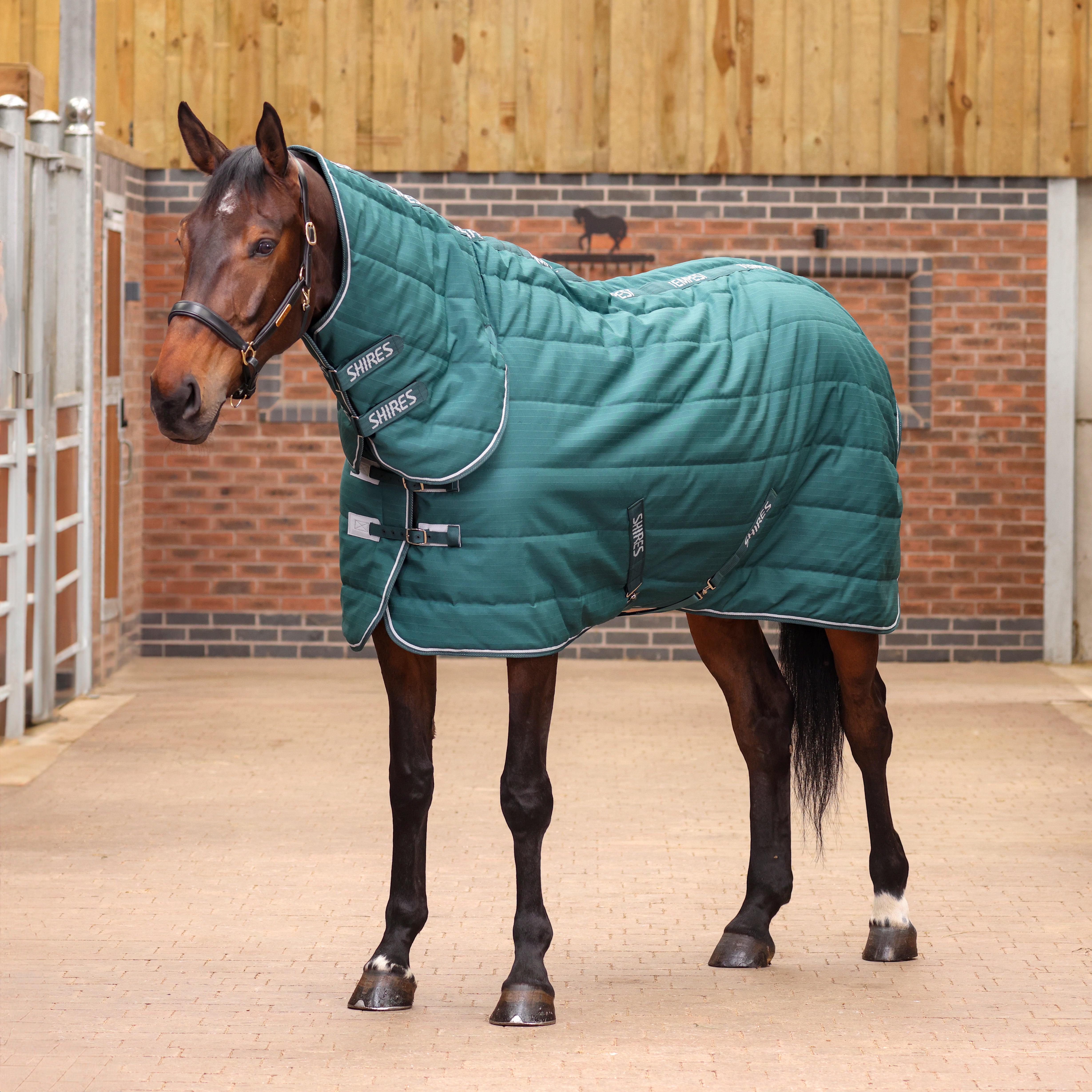 Tempest Original 200 Combo Stable Rug