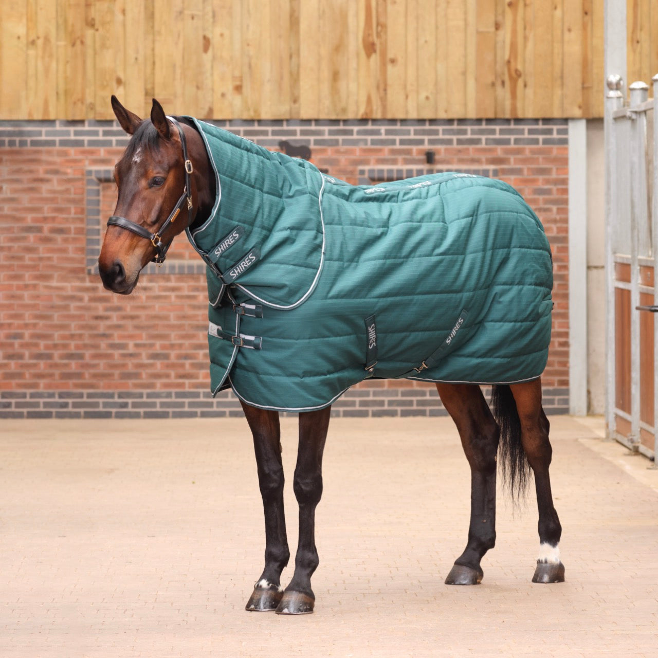 Tempest Original 200 Stable Rug & Neck