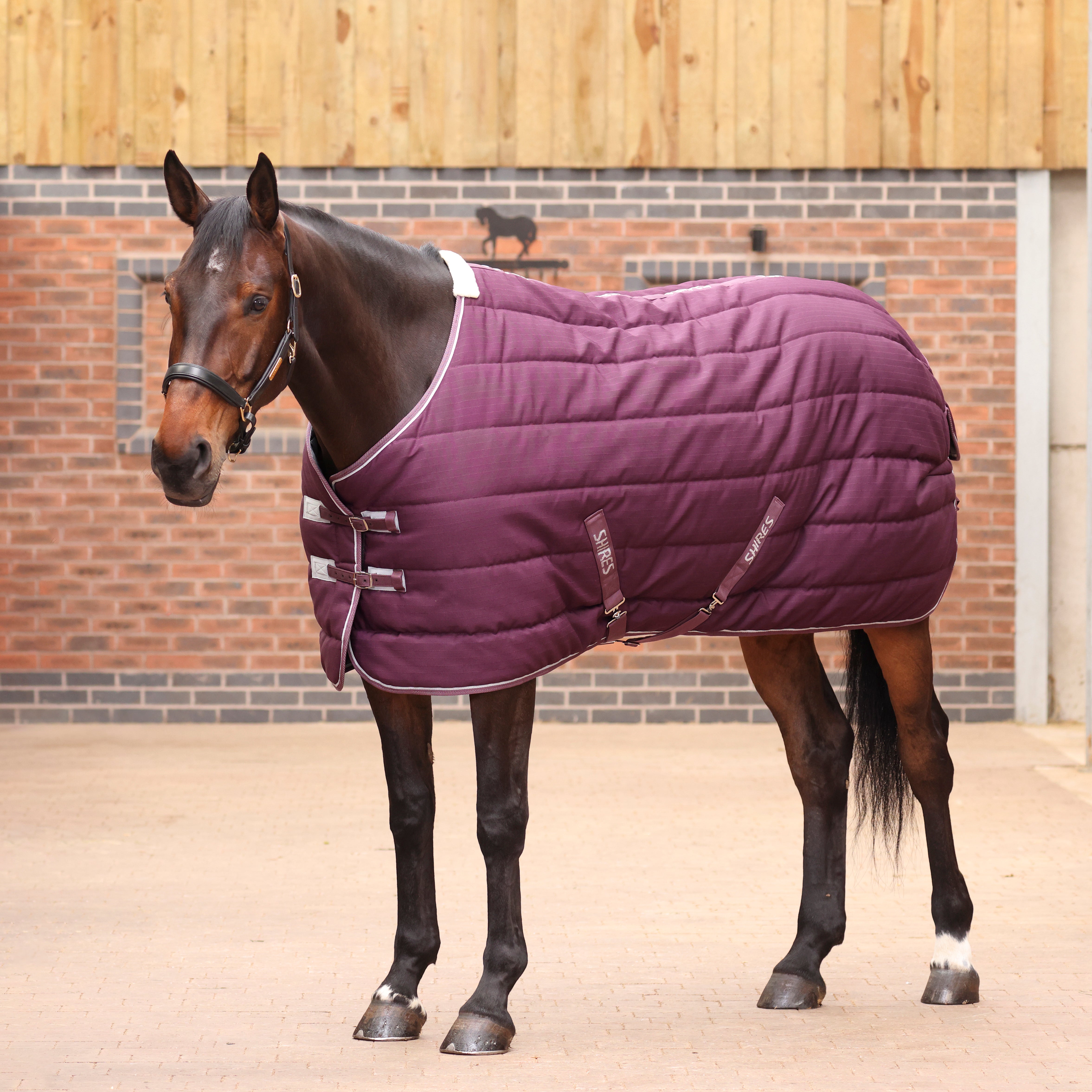 Tempest Original 300 Stable Rug