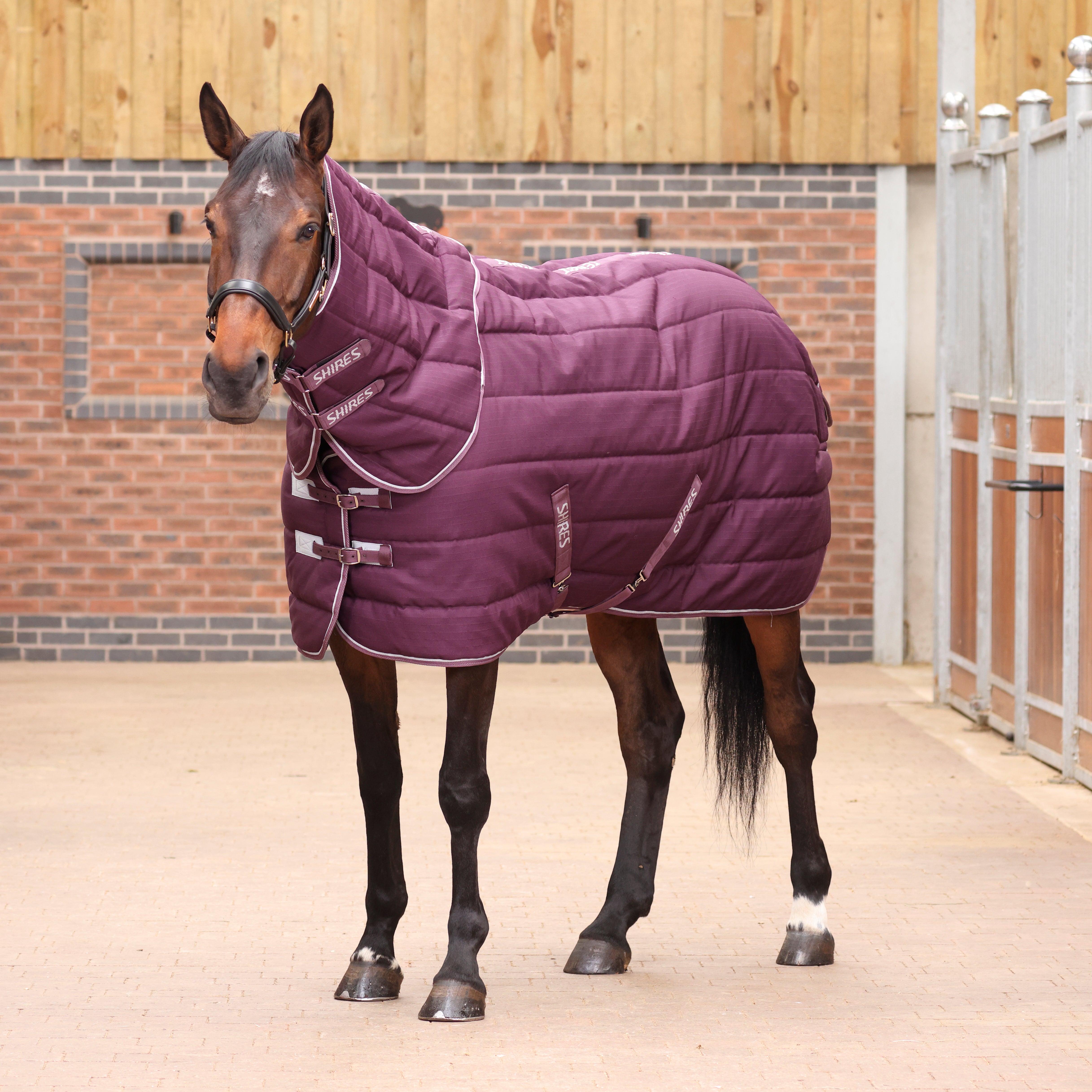 Pink Stable Rug Stable Rugs