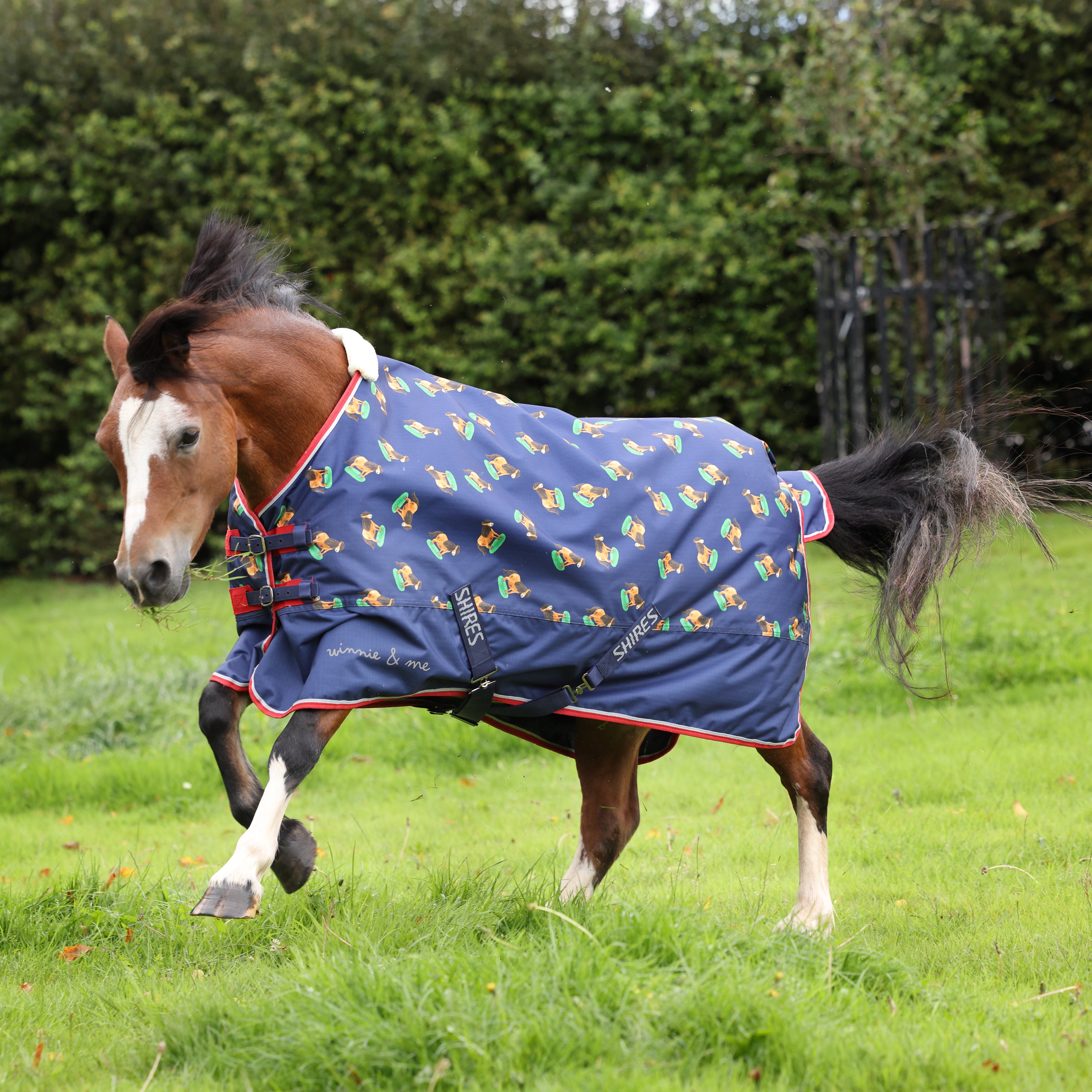 Winnie & Me Lite Turnout Rug