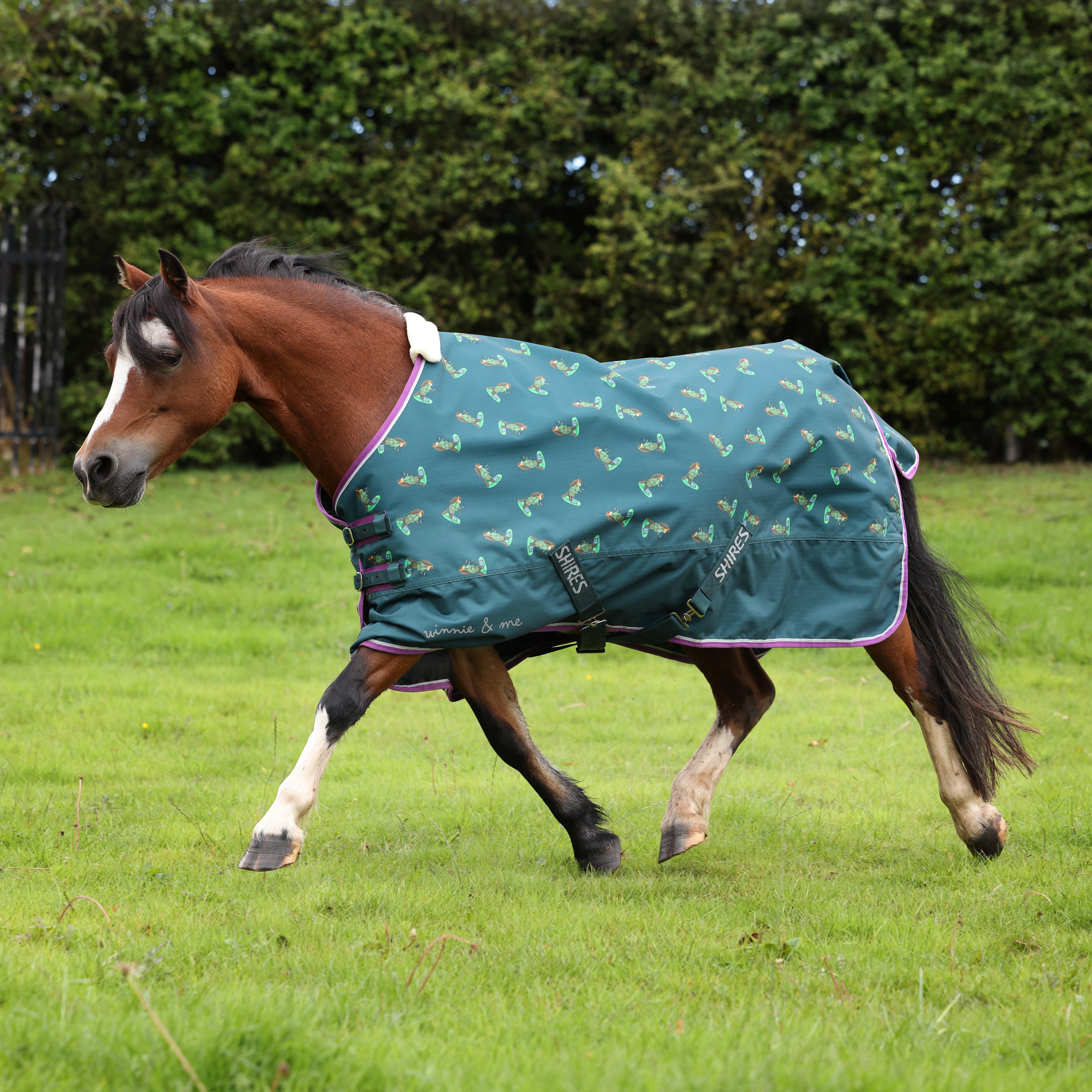 Winnie & Me 100 Turnout Rug