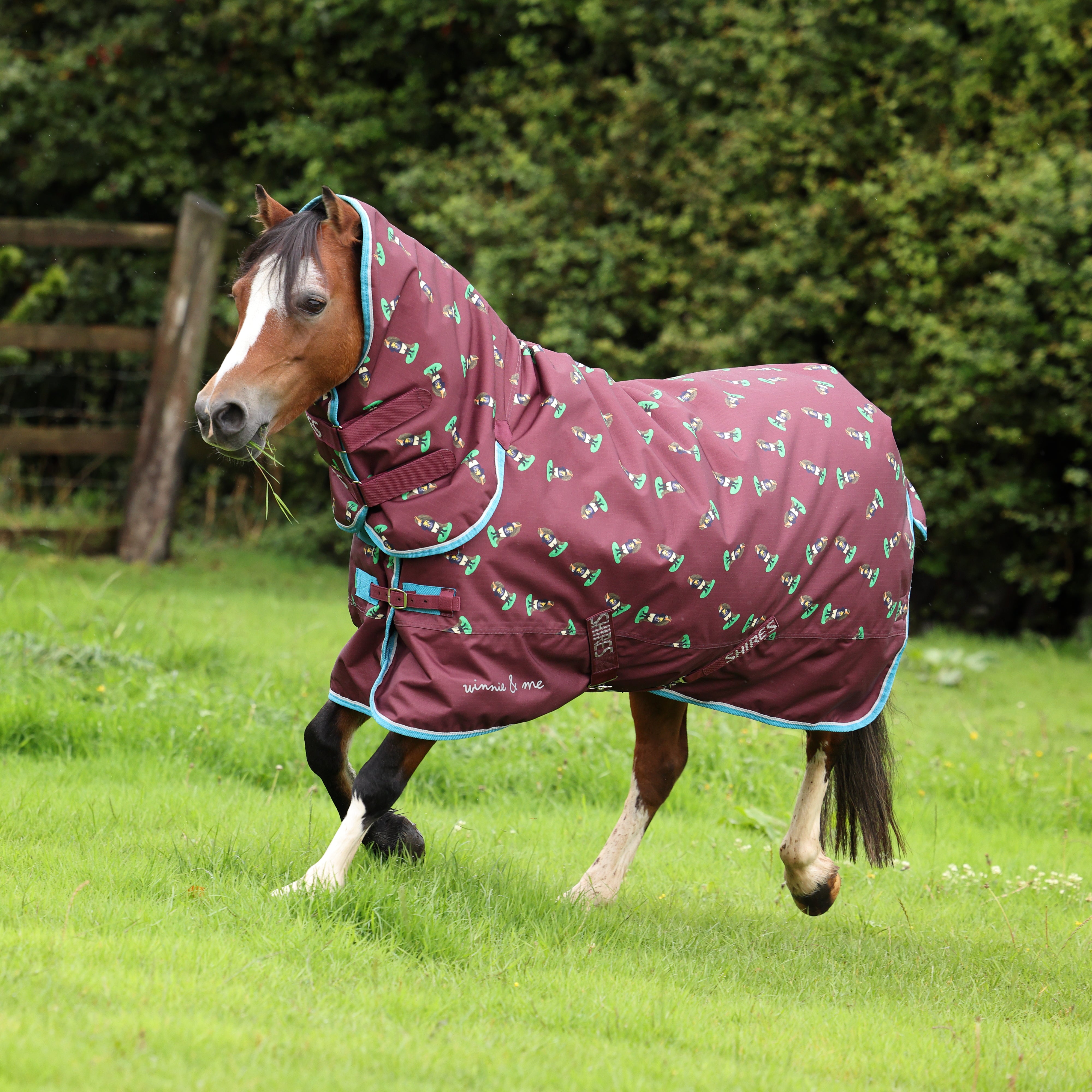 Winnie & Me 200 Turnout Rug