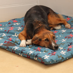 Digby & Fox Waterproof Padded Dog Bed