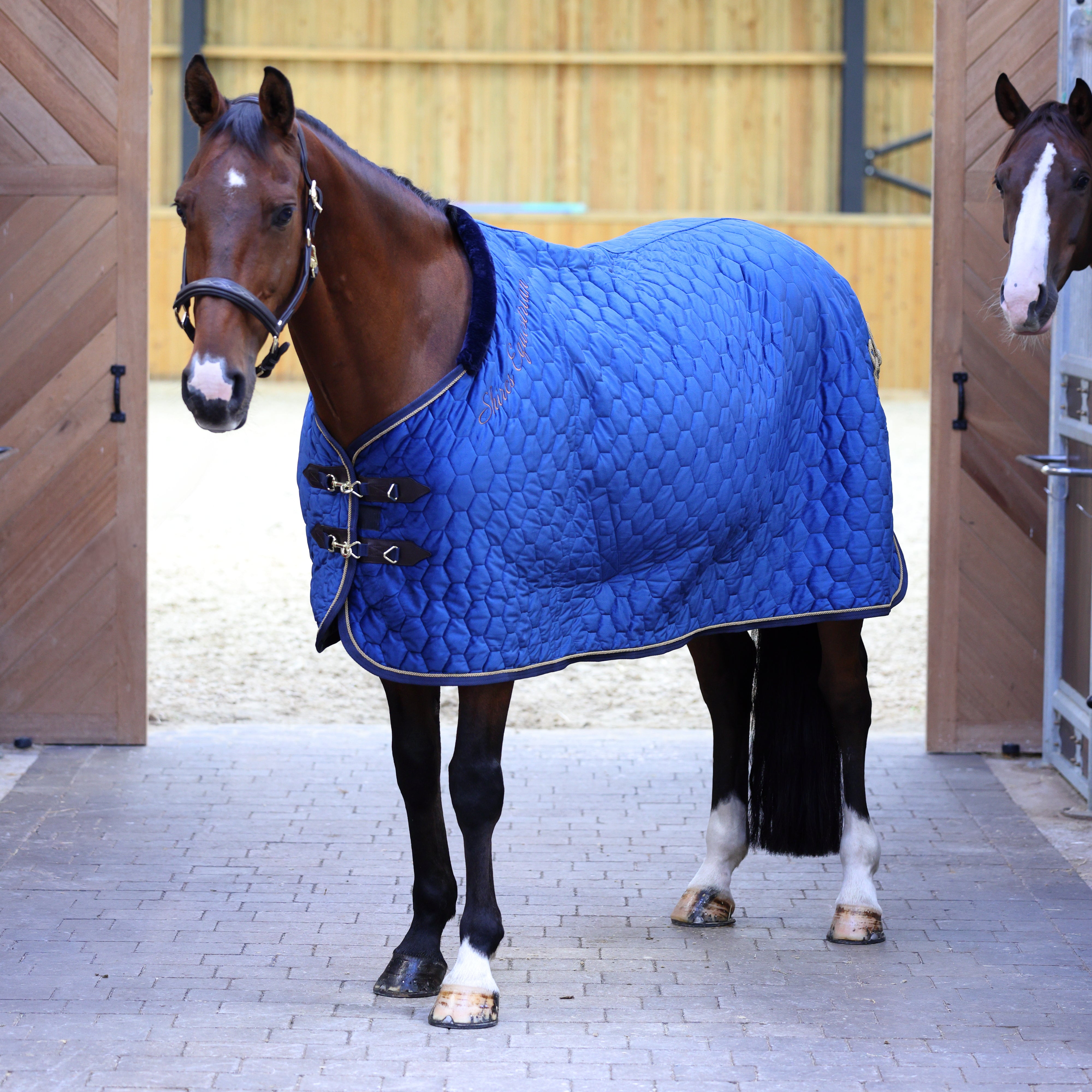 Shires Deluxe Quilted Show Rug