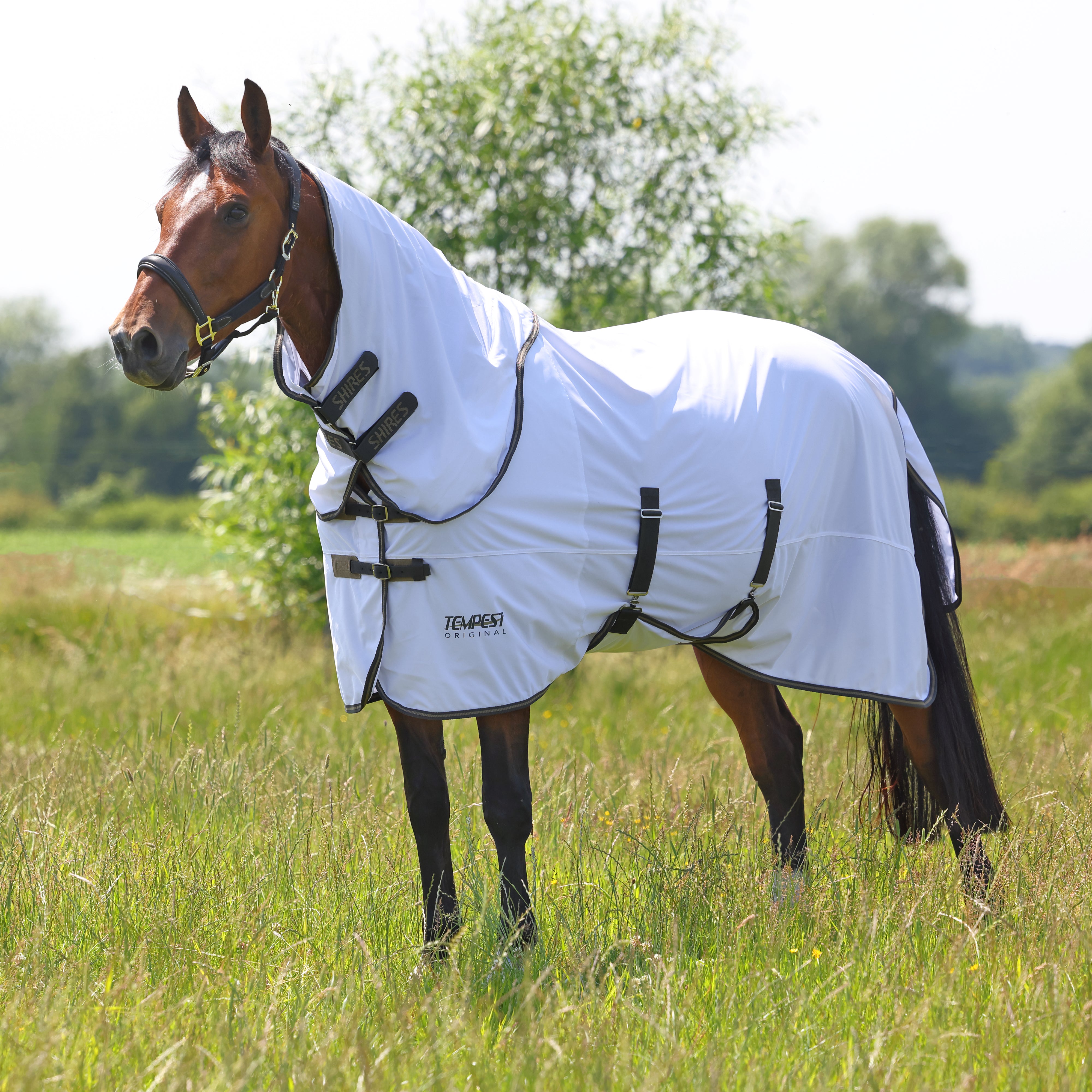 Shires Tempest Original Fly Rug & Neck Set