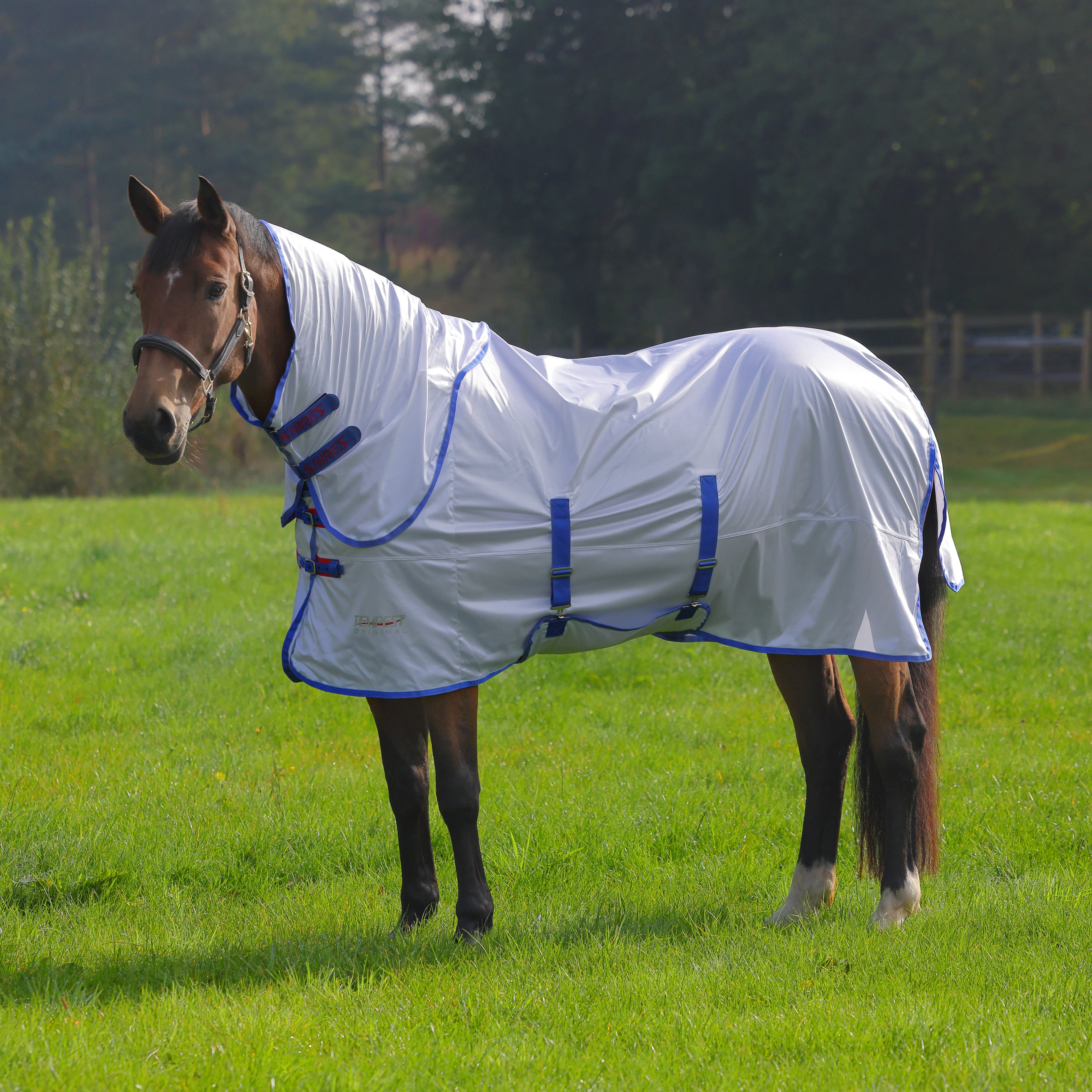 Tempest Original Fly Rug & Neck Set