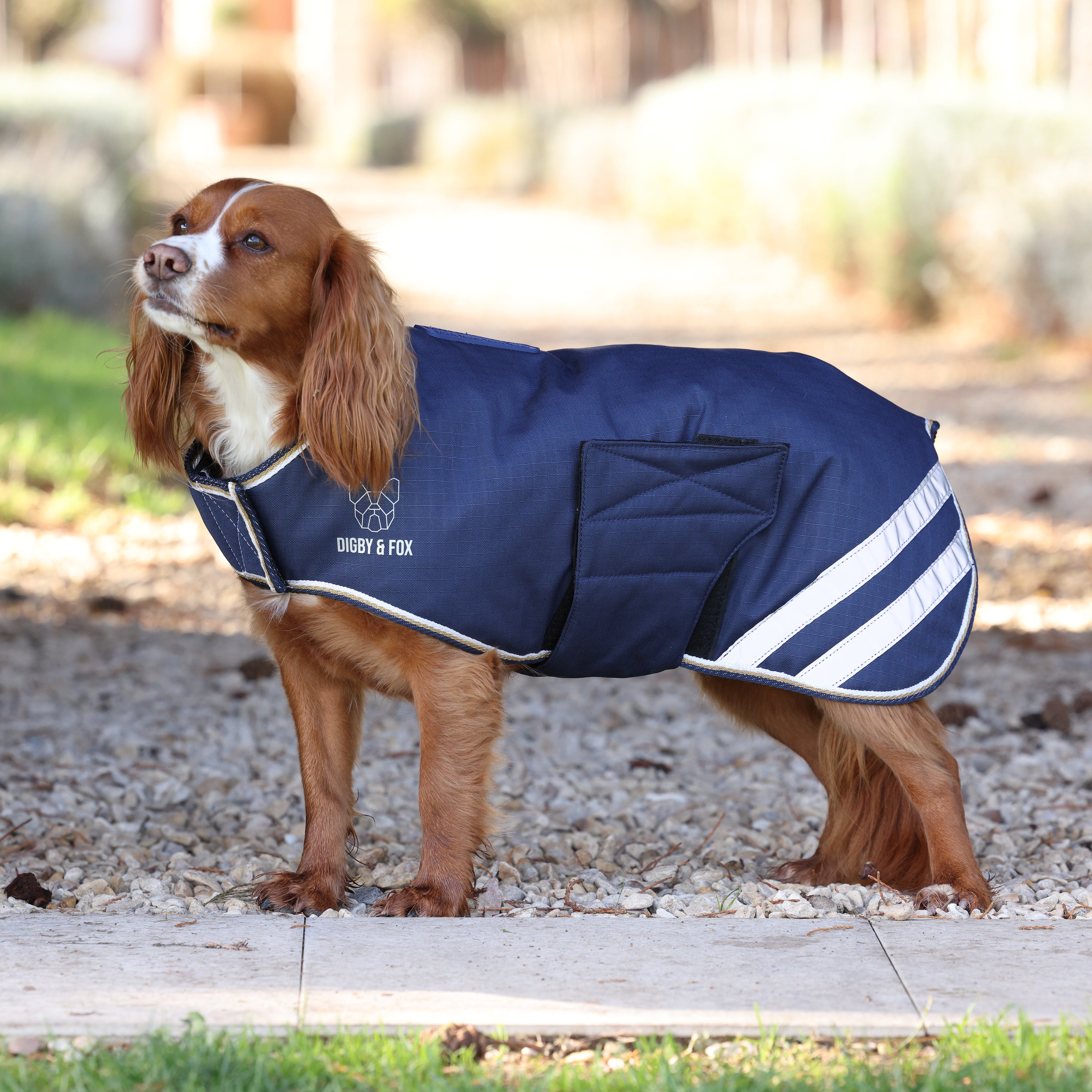 Digby & Fox Lite Waterproof Dog Coat