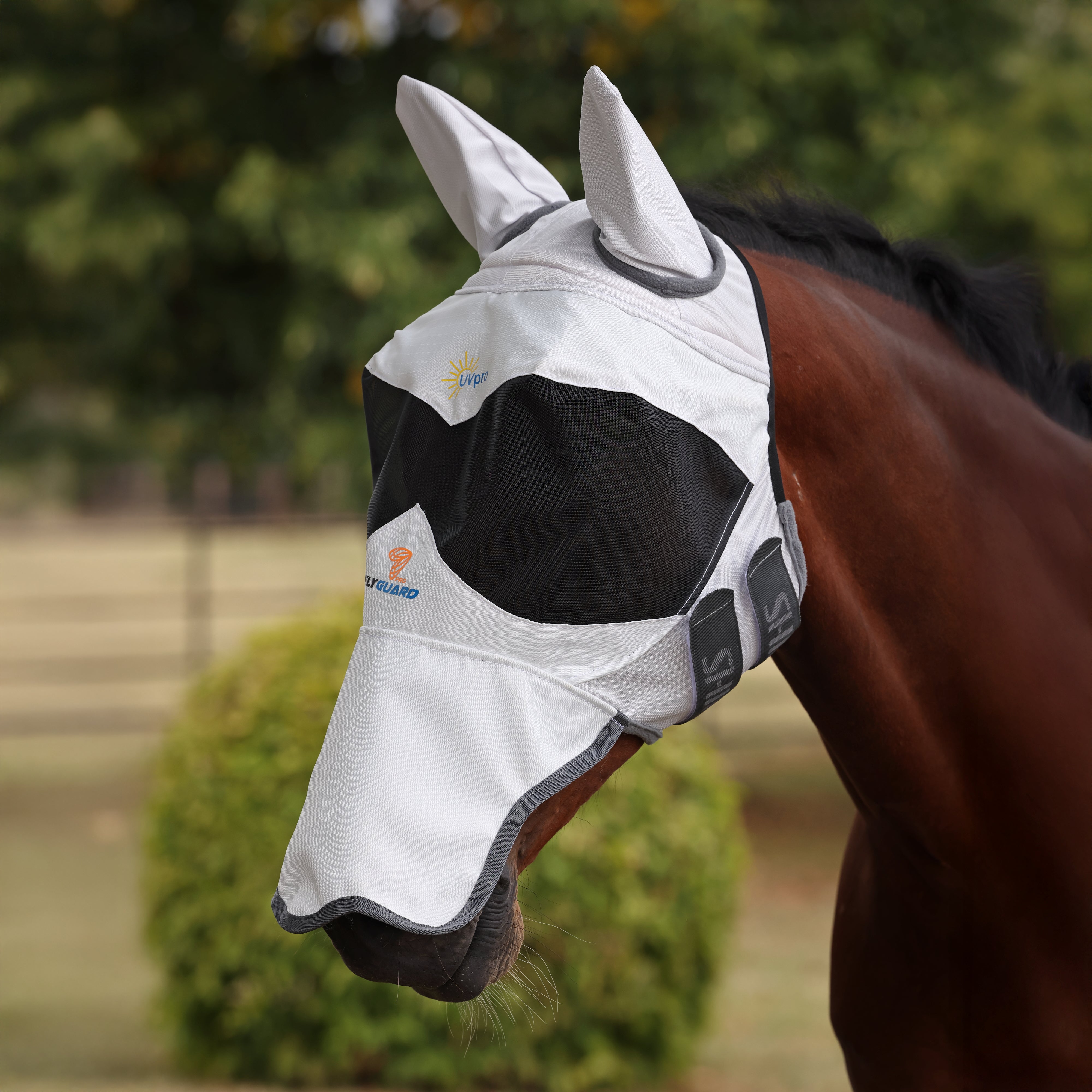 FlyGuard Pro Sun Shade Fly Mask with Ears & Square Nose