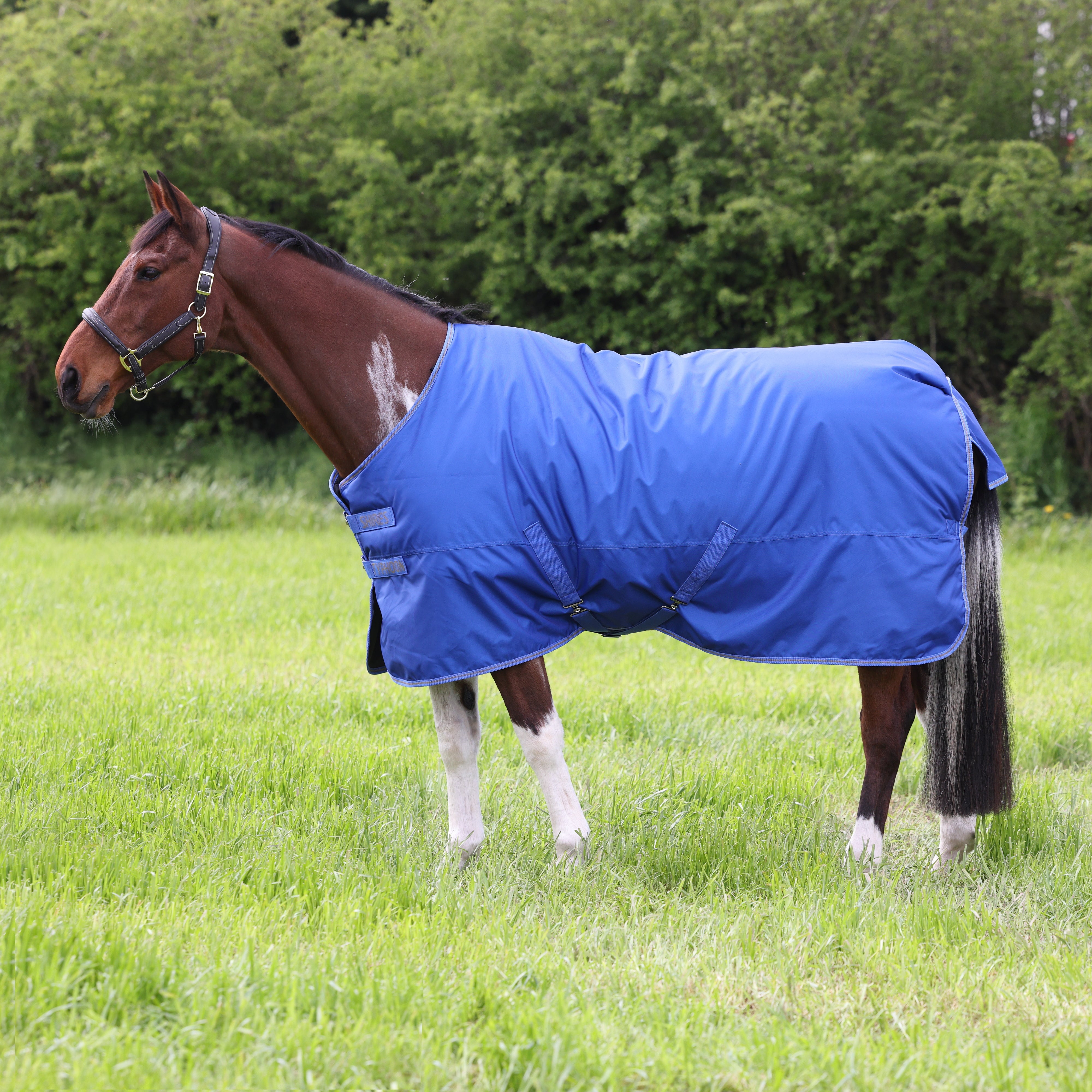 11317 - Typhoon 300 Turnout Rug