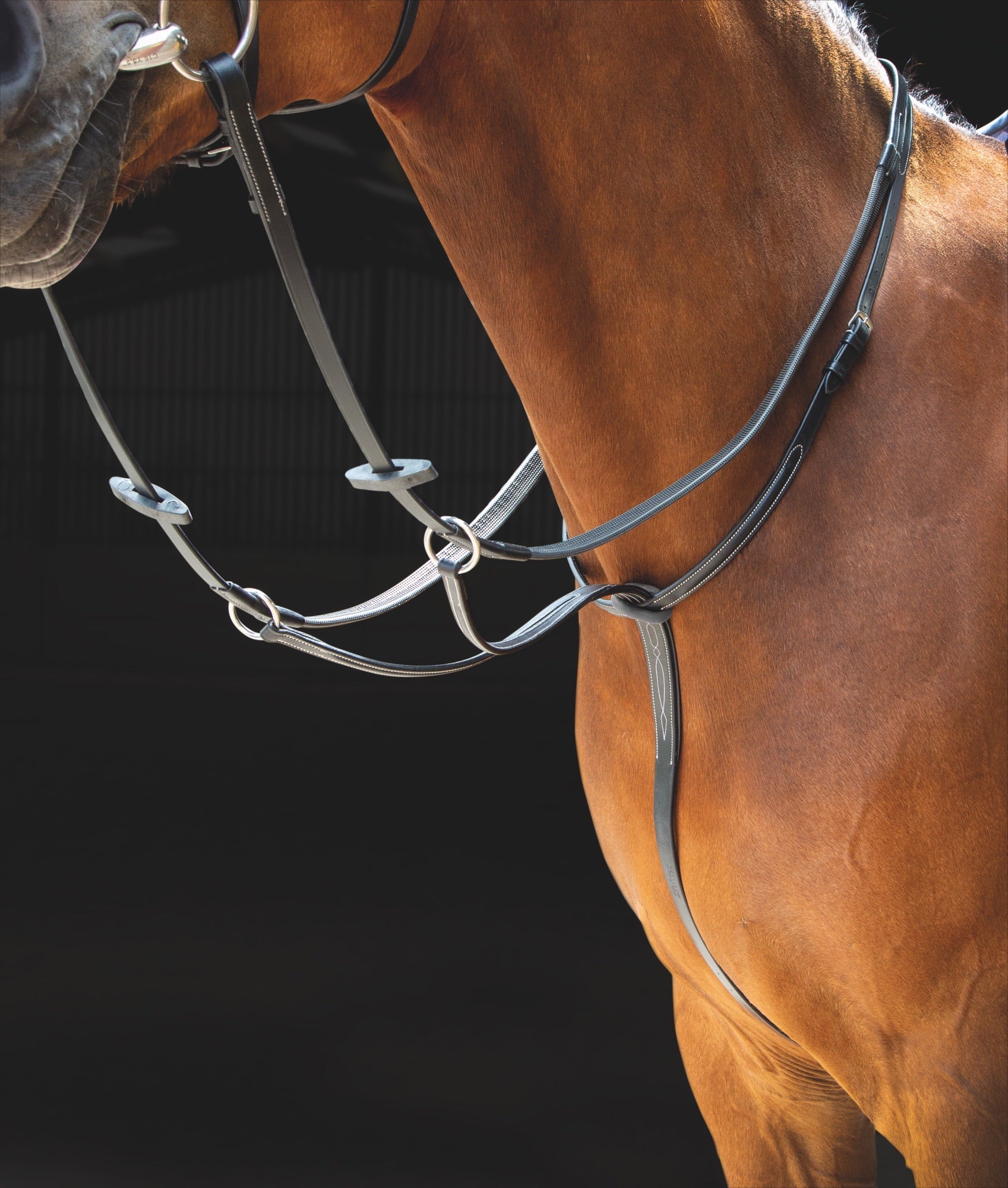 Salisbury Running Martingale