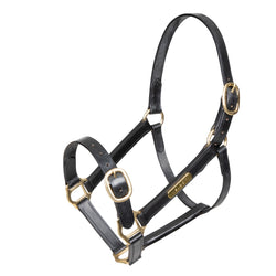 Velociti GARA Fully Adjustable Leather Headcollar