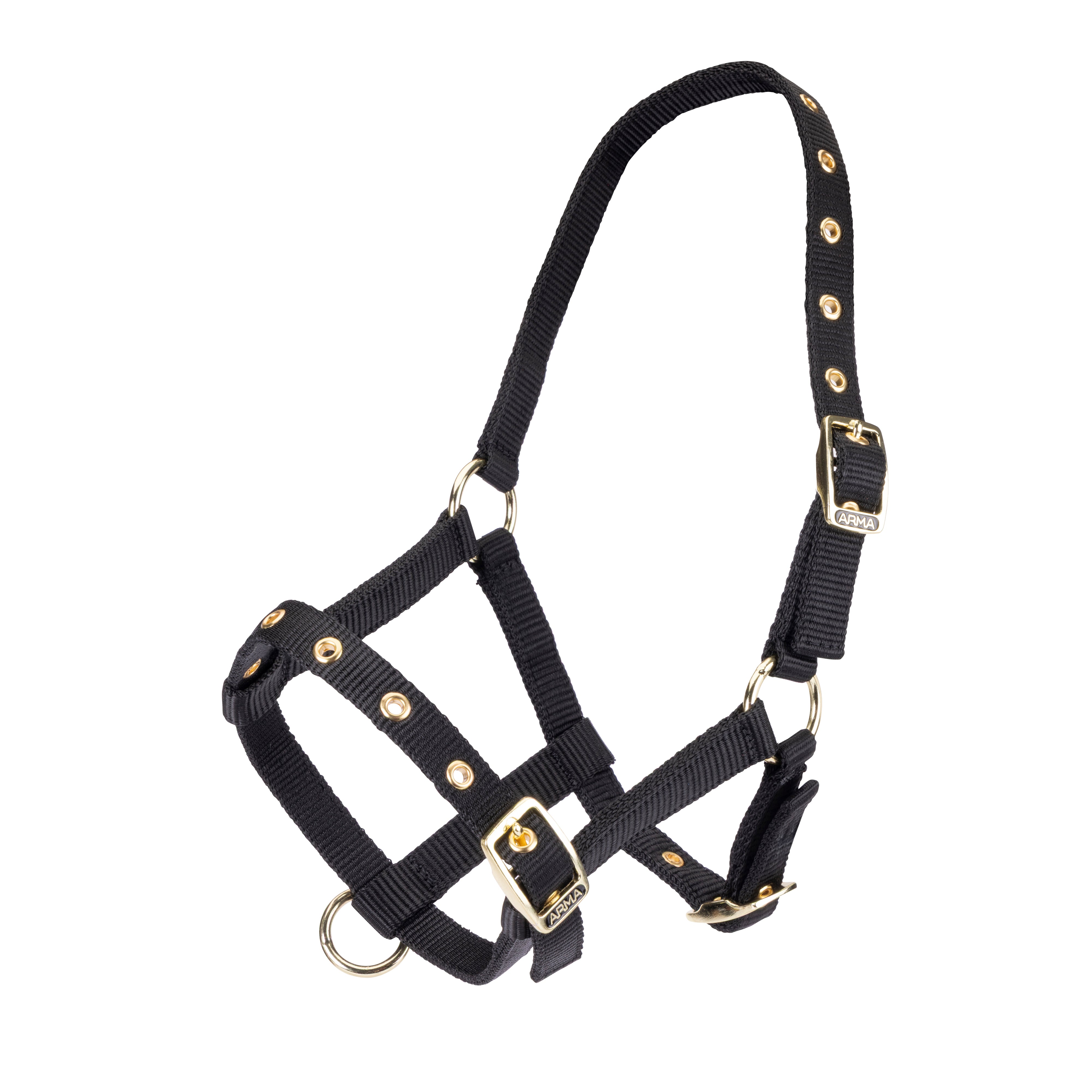 ARMA Foal Headcollar