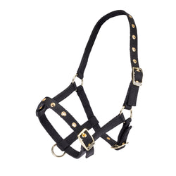 ARMA Foal Headcollar