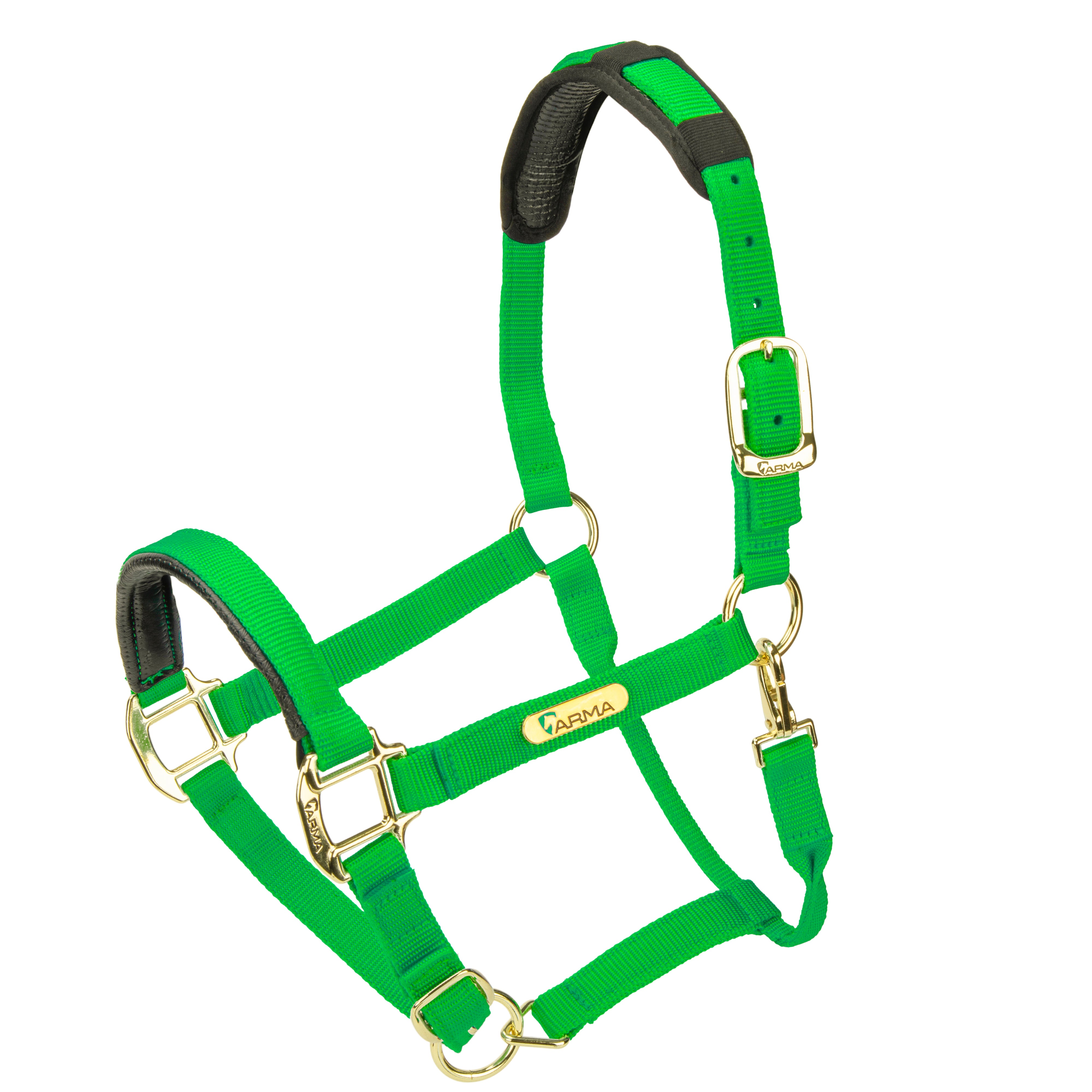 387_GREEN_001.jpg?v=1740582464