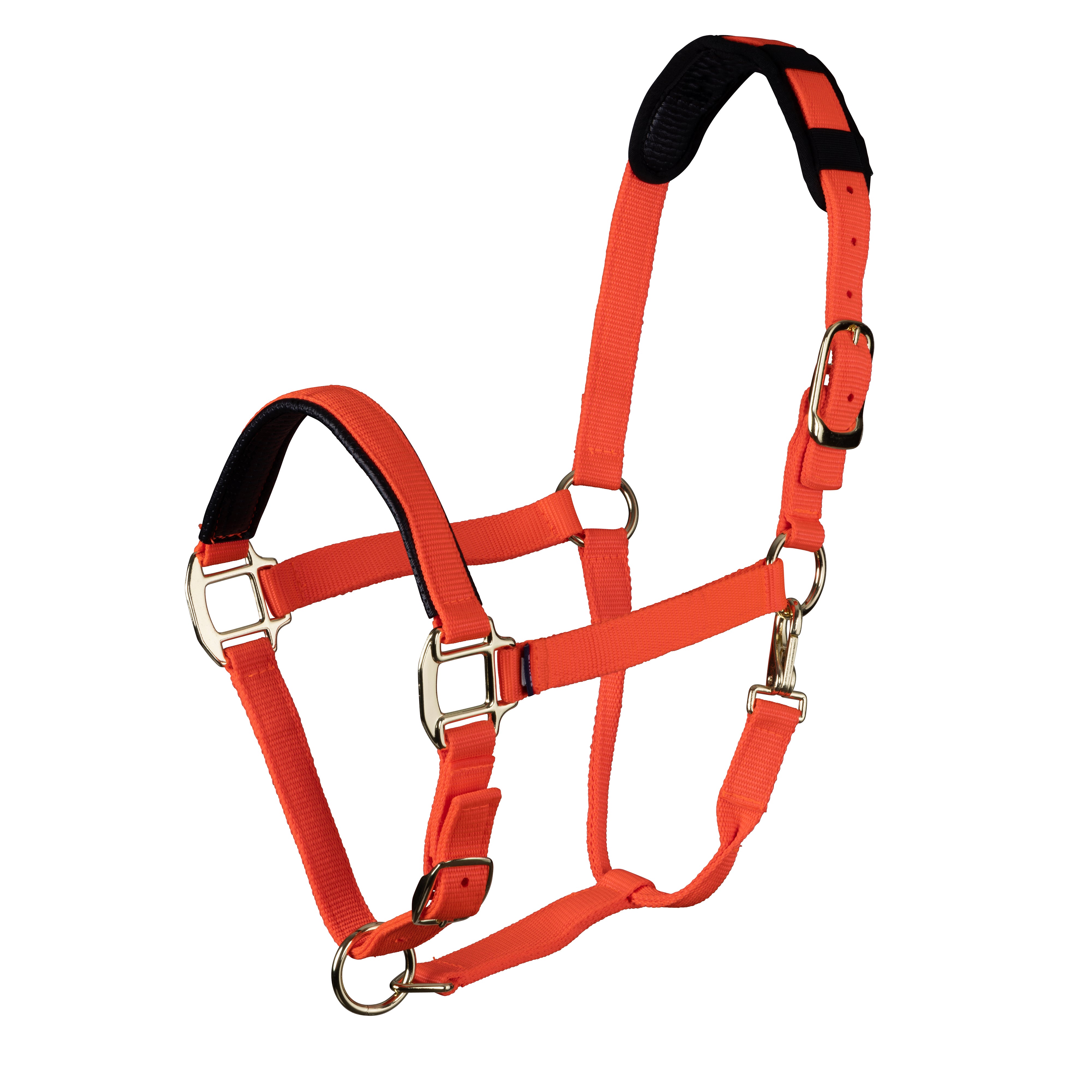 Topaz Nylon Headcollar