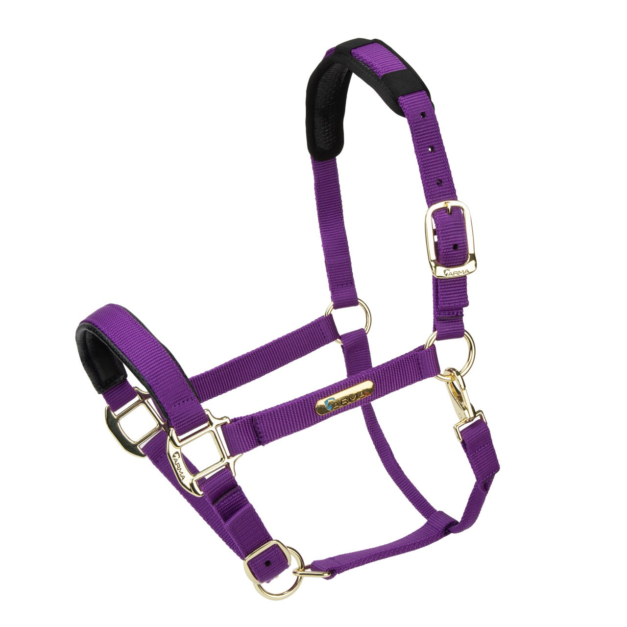 387_PURPLE_001_Large_882a0a25-