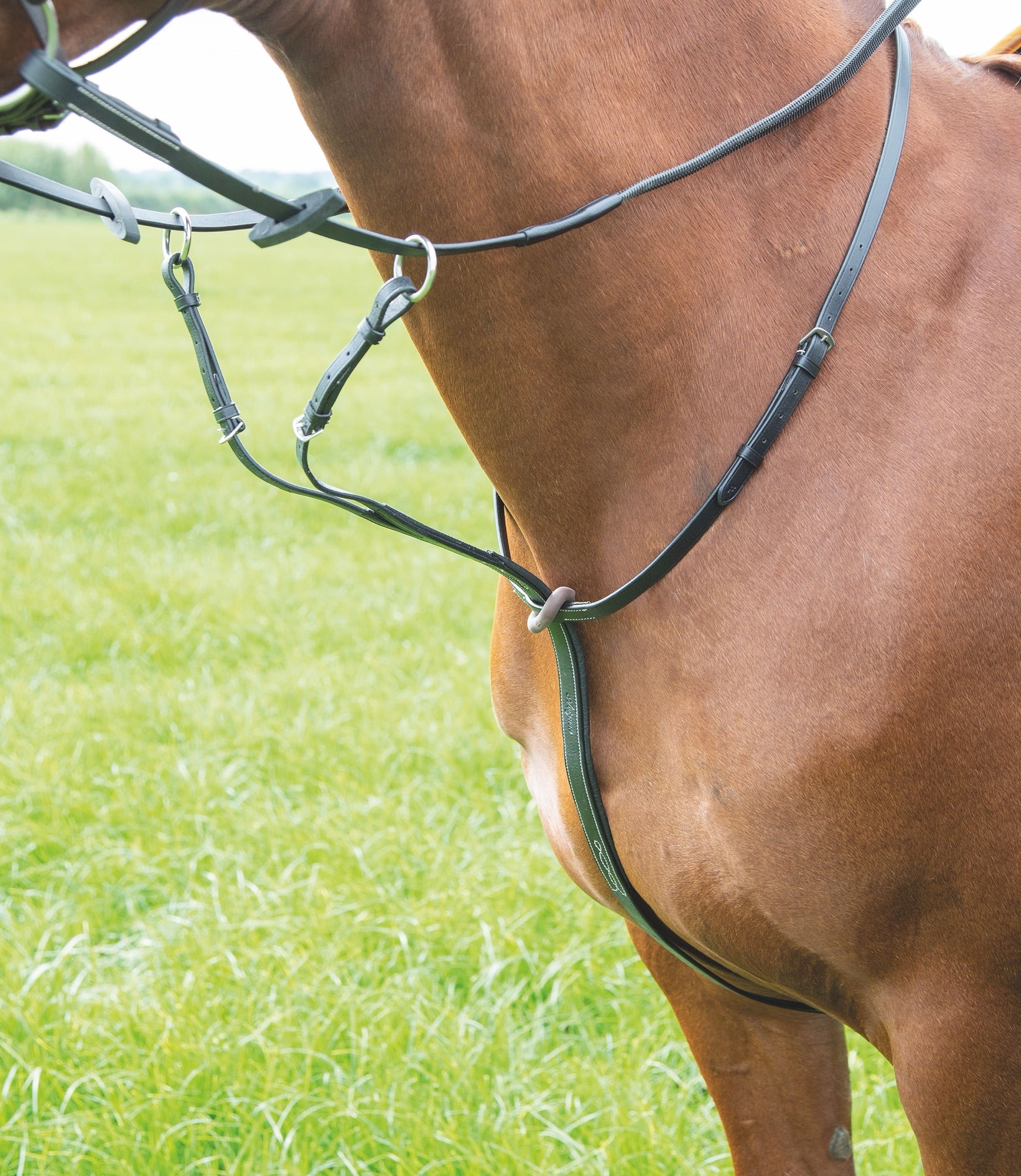 Pettorale Per Cavallo Shires Salisbury 3 Punti - Imbottito, Regolabile, Con Attacco Martingala - Foto 2