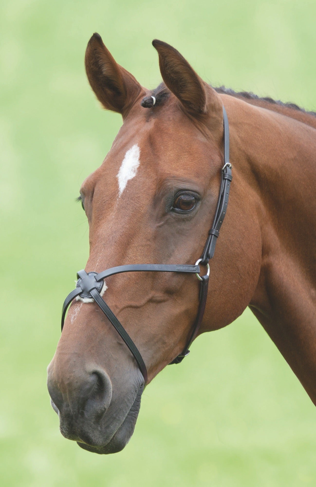 Velociti GARA Mexican Noseband